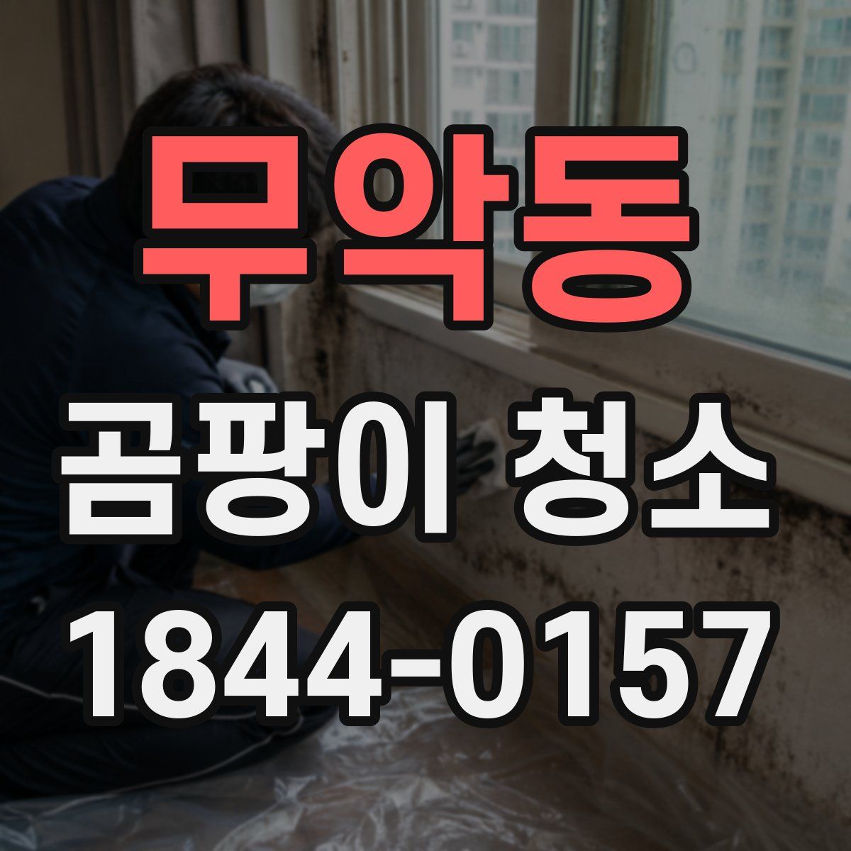 무악동 곰팡이 청소