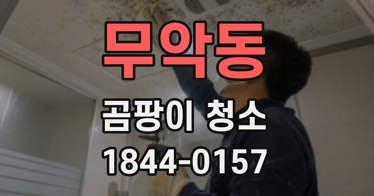 무악동 곰팡이 청소
