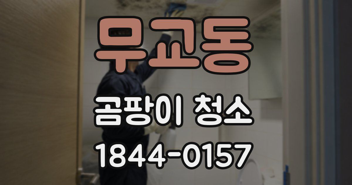 무교동 곰팡이 청소