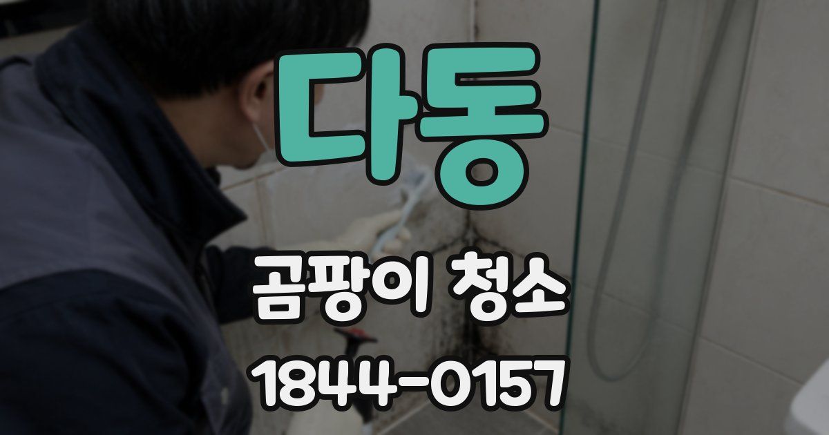 다동 곰팡이 청소
