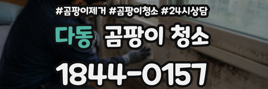다동 곰팡이 청소