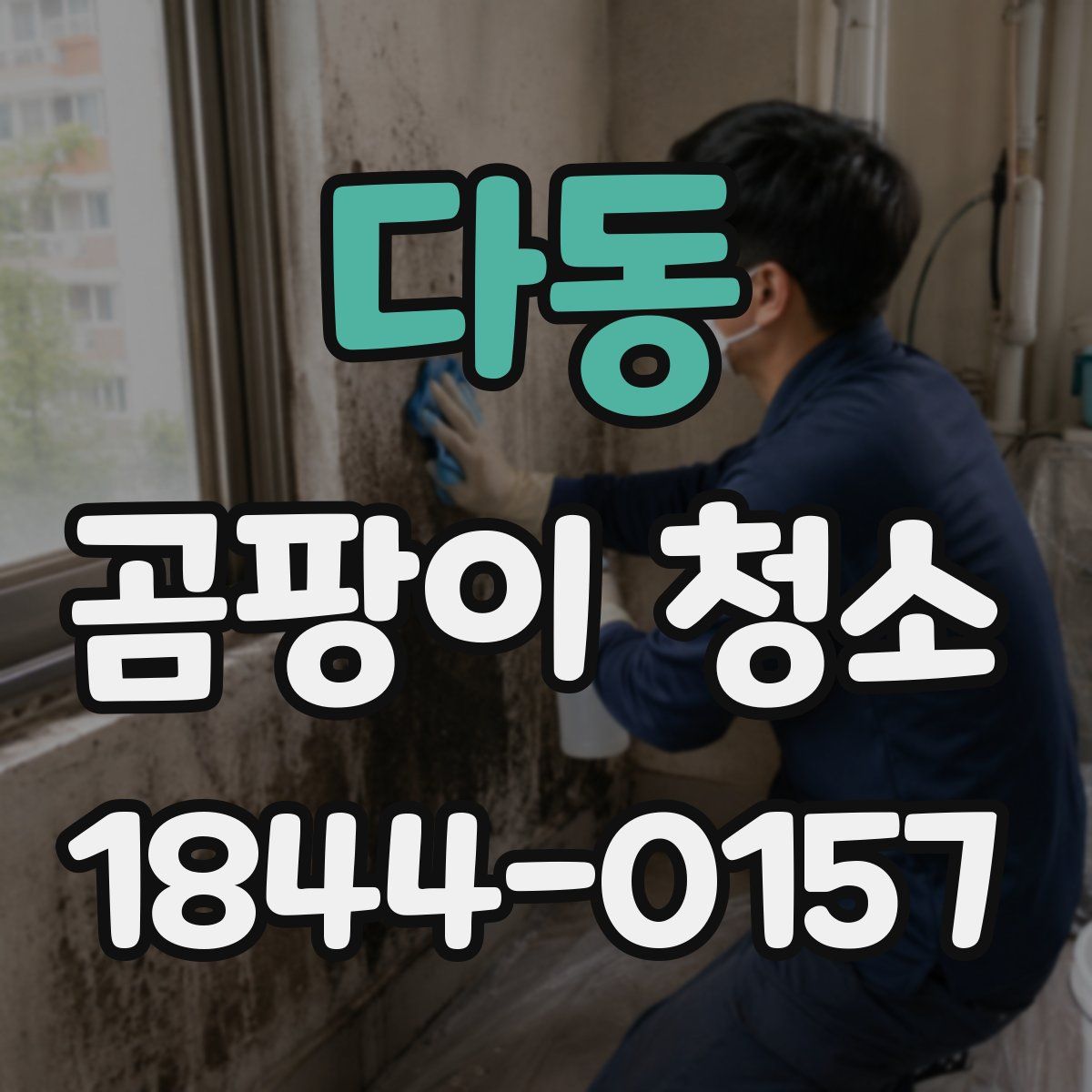 다동 곰팡이 청소