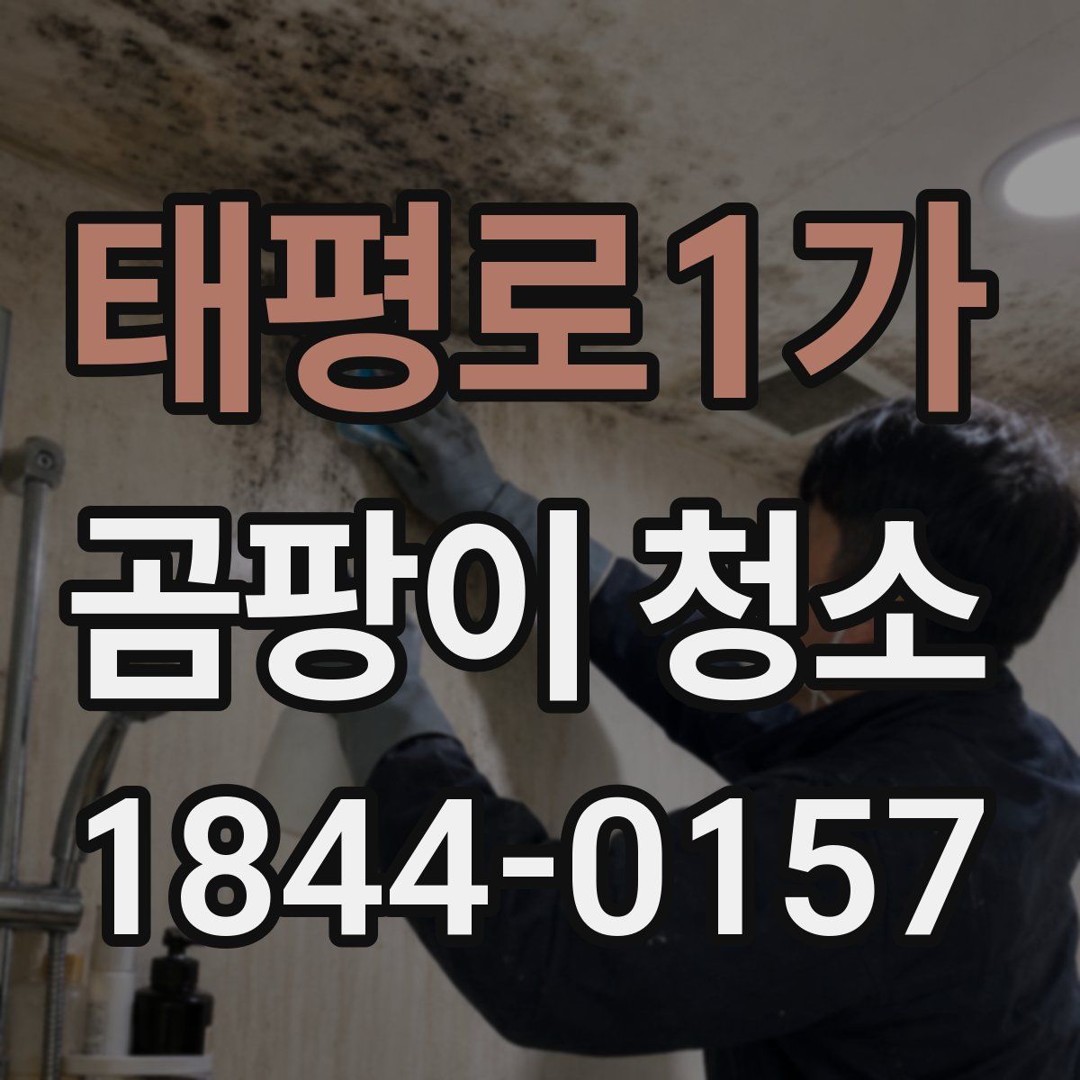 태평로1가 곰팡이 청소