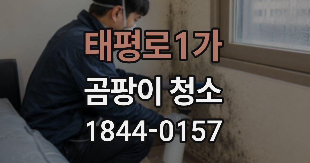 태평로1가 곰팡이 청소