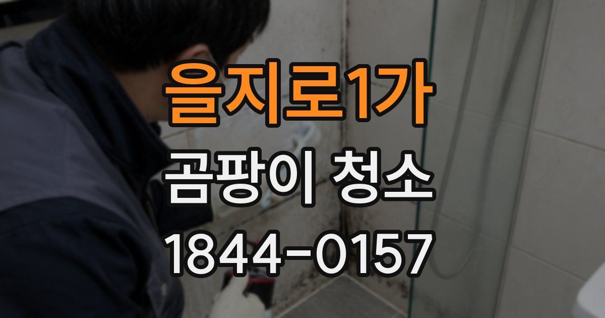 을지로1가 곰팡이 청소