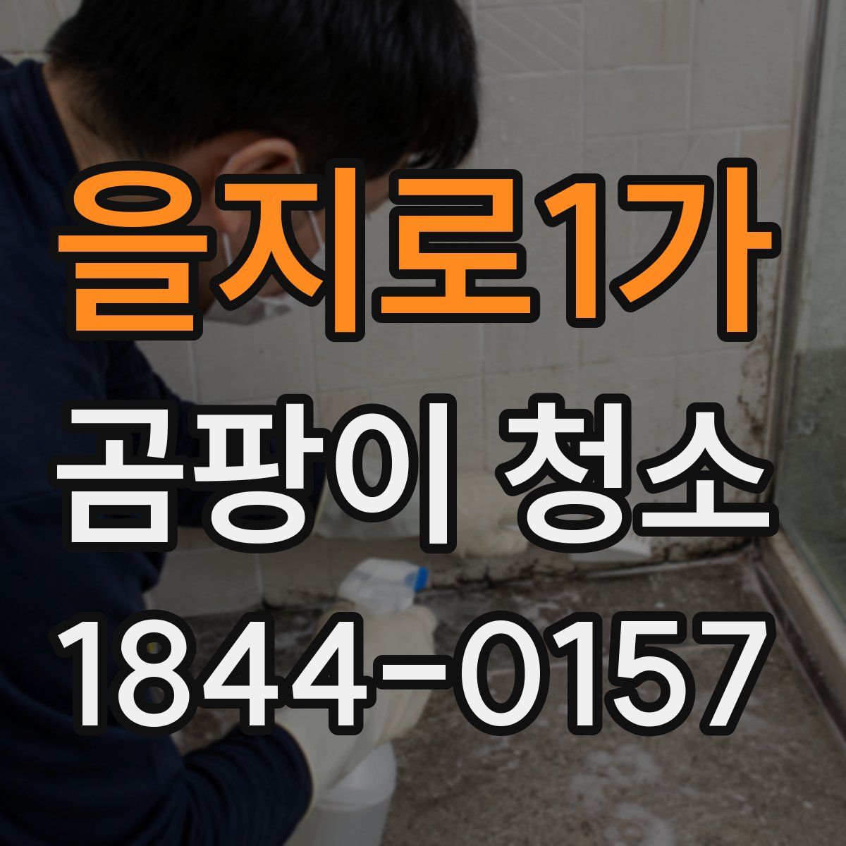 을지로1가 곰팡이 청소