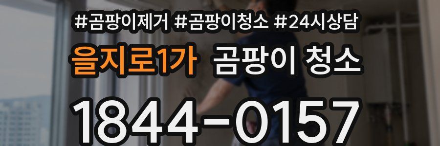 을지로1가 곰팡이 청소