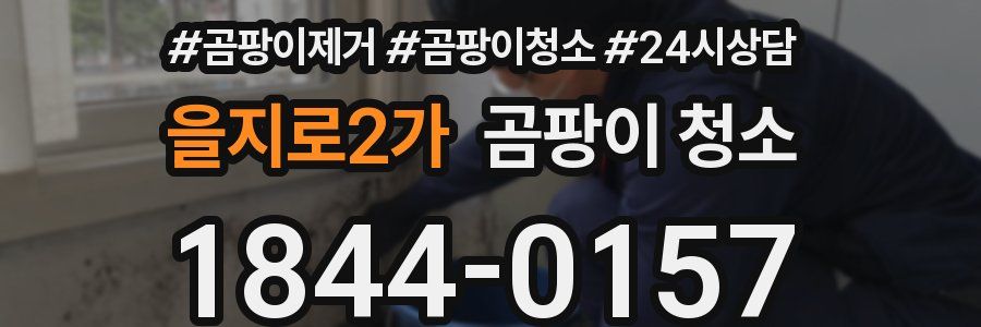 을지로2가 곰팡이 청소