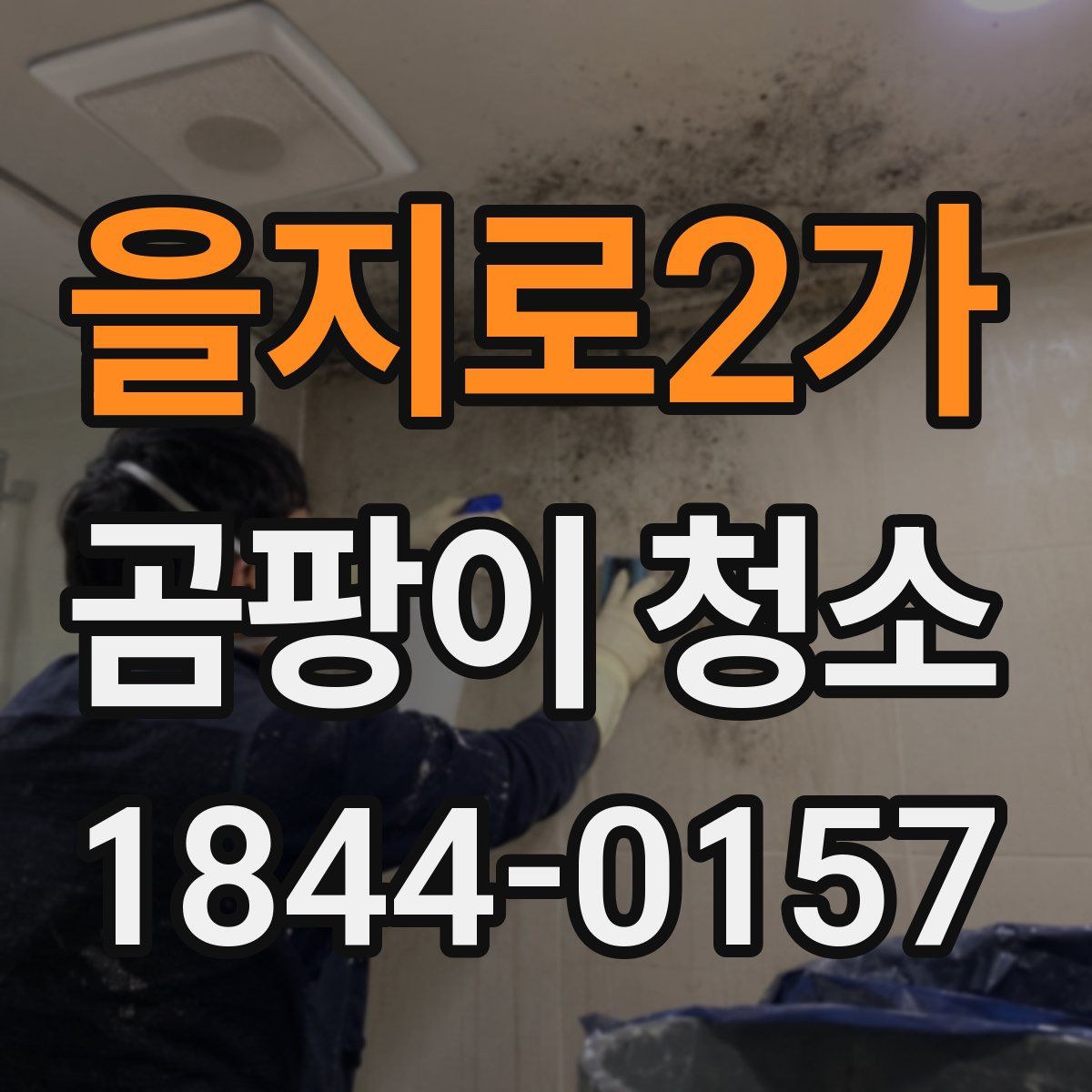 을지로2가 곰팡이 청소