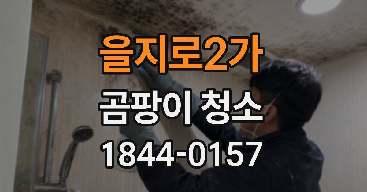 을지로2가 곰팡이 청소