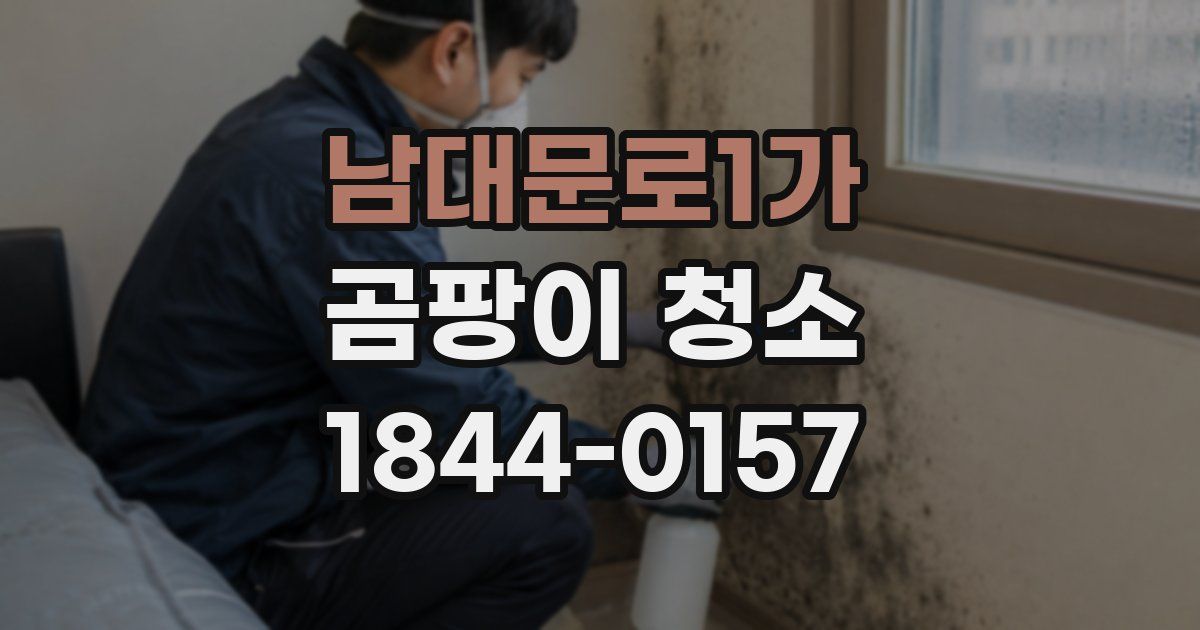 남대문로1가 곰팡이 청소