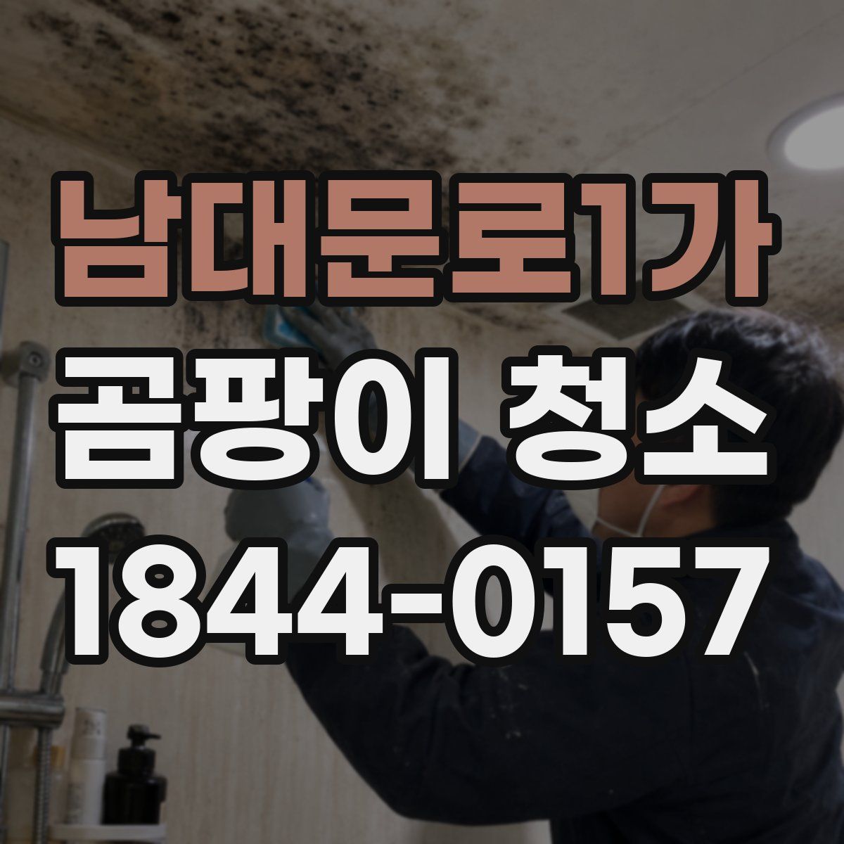 남대문로1가 곰팡이 청소