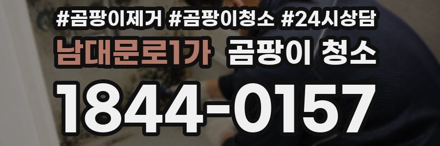 남대문로1가 곰팡이 청소