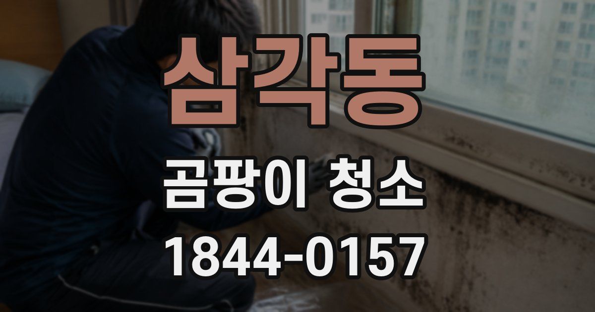 삼각동 곰팡이 청소
