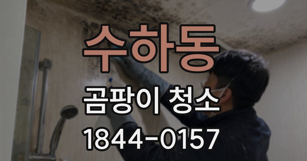 수하동 곰팡이 청소