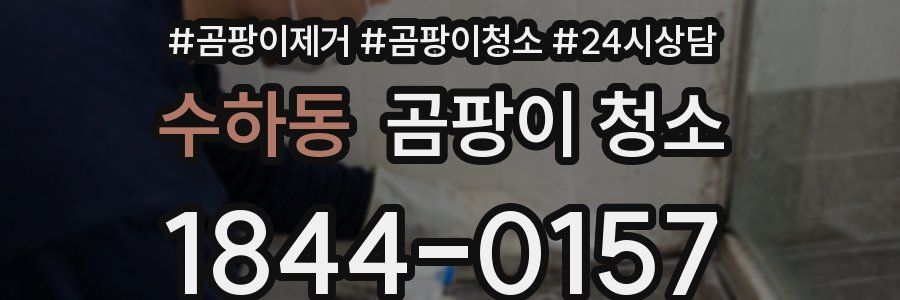 수하동 곰팡이 청소