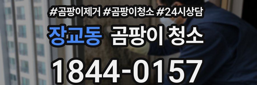 장교동 곰팡이 청소