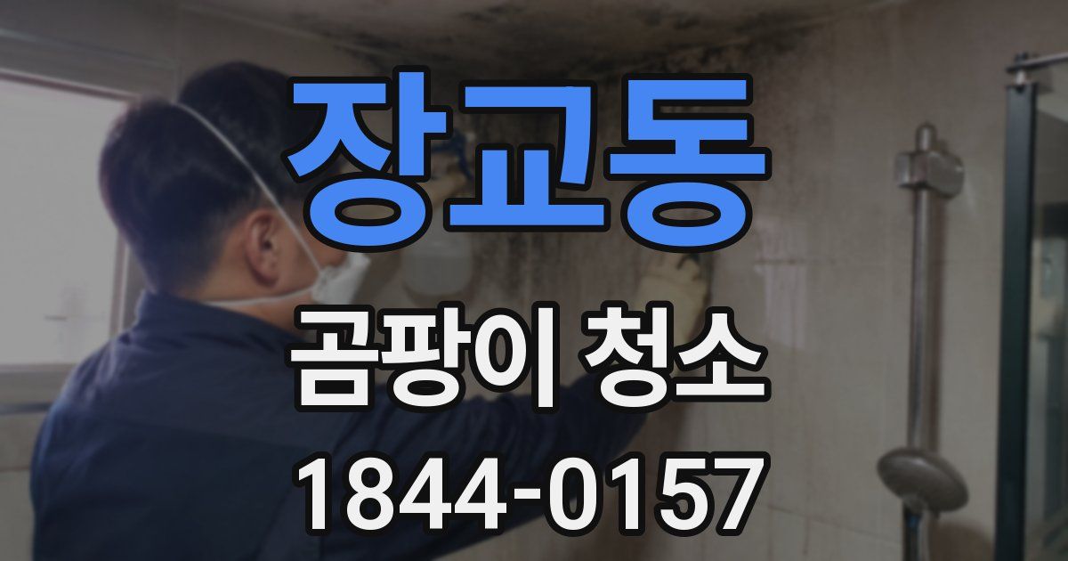 장교동 곰팡이 청소