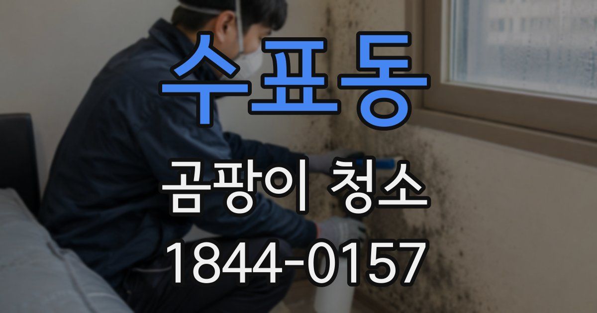 수표동 곰팡이 청소