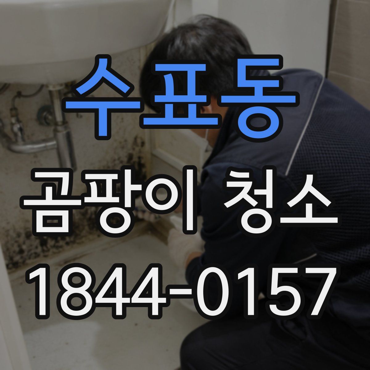 수표동 곰팡이 청소