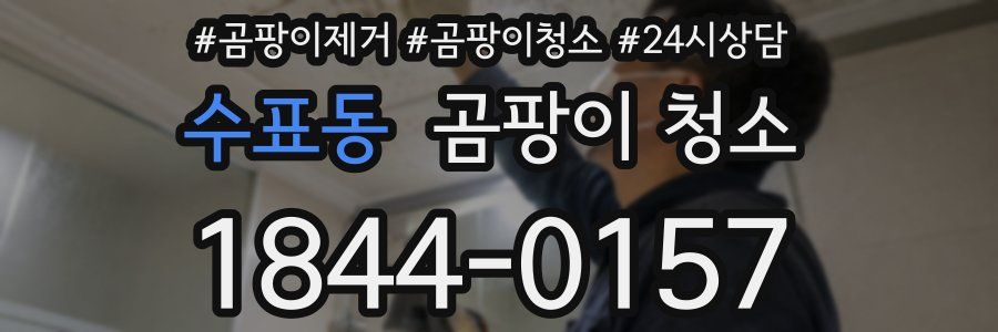 수표동 곰팡이 청소