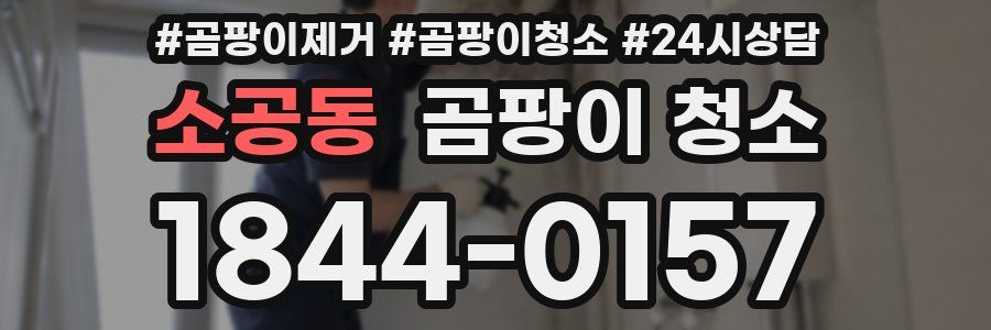 소공동 곰팡이 청소
