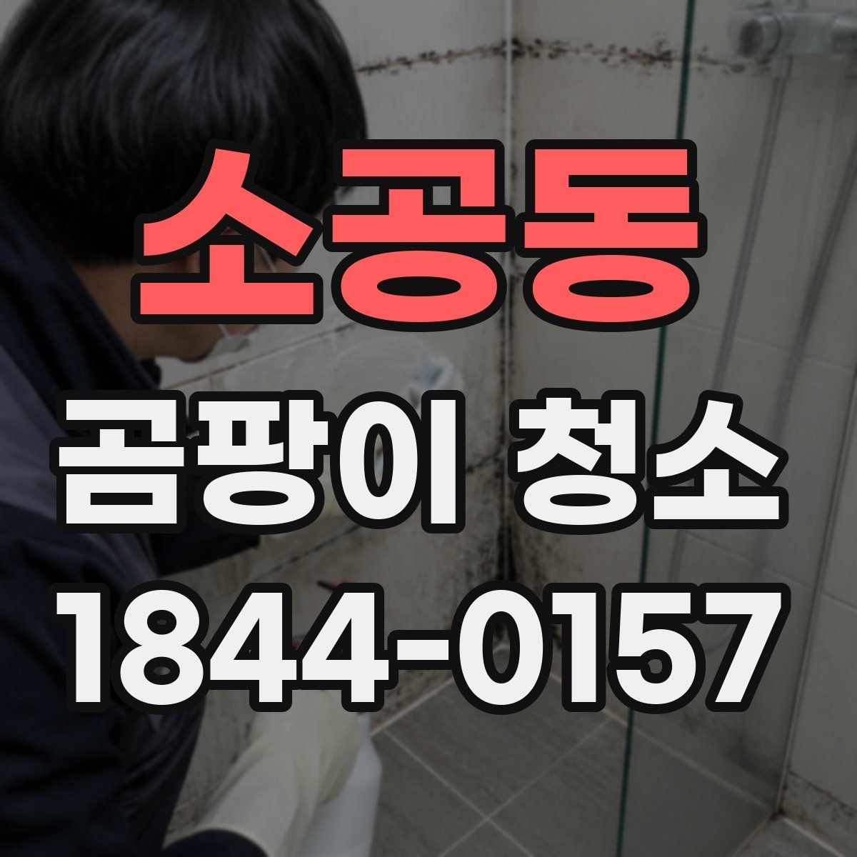 소공동 곰팡이 청소