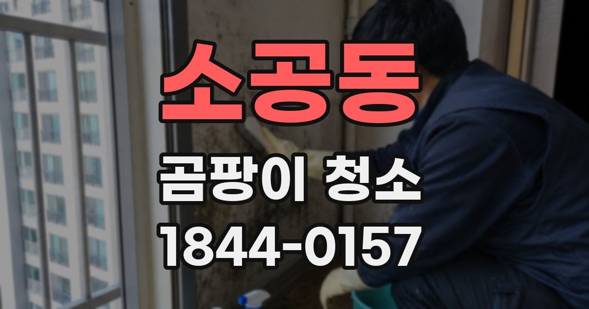 소공동 곰팡이 청소