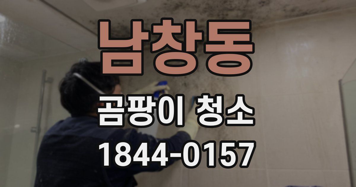 남창동 곰팡이 청소