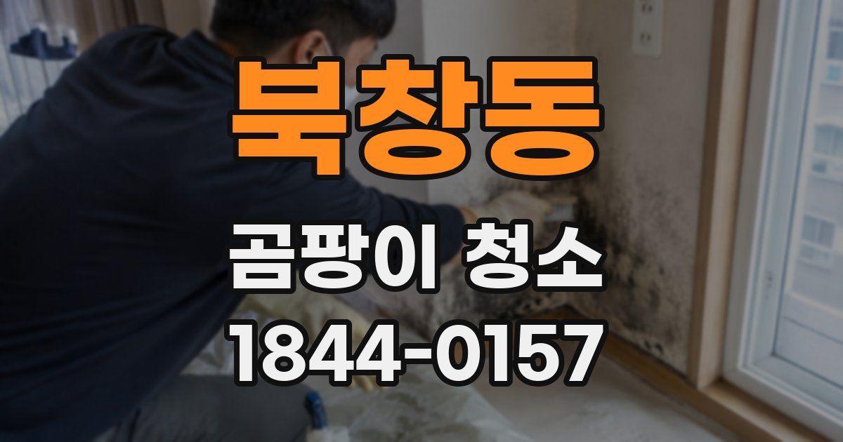 북창동 곰팡이 청소