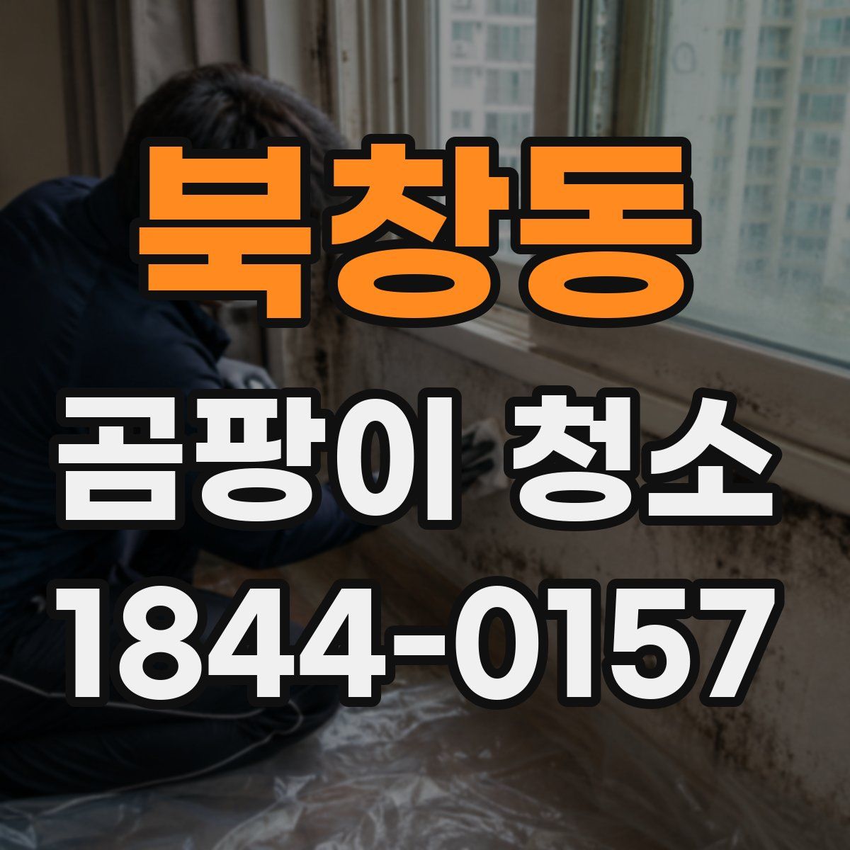 북창동 곰팡이 청소