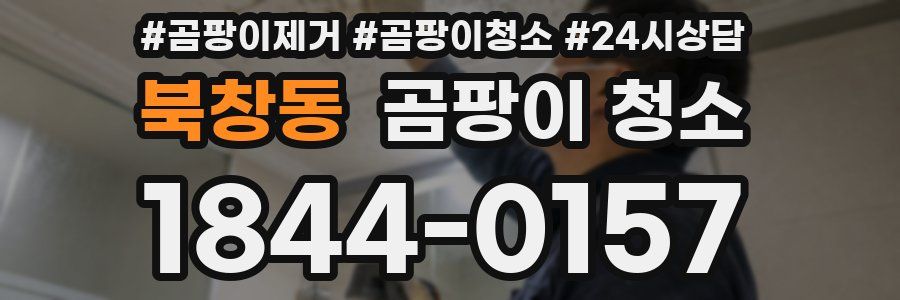 북창동 곰팡이 청소
