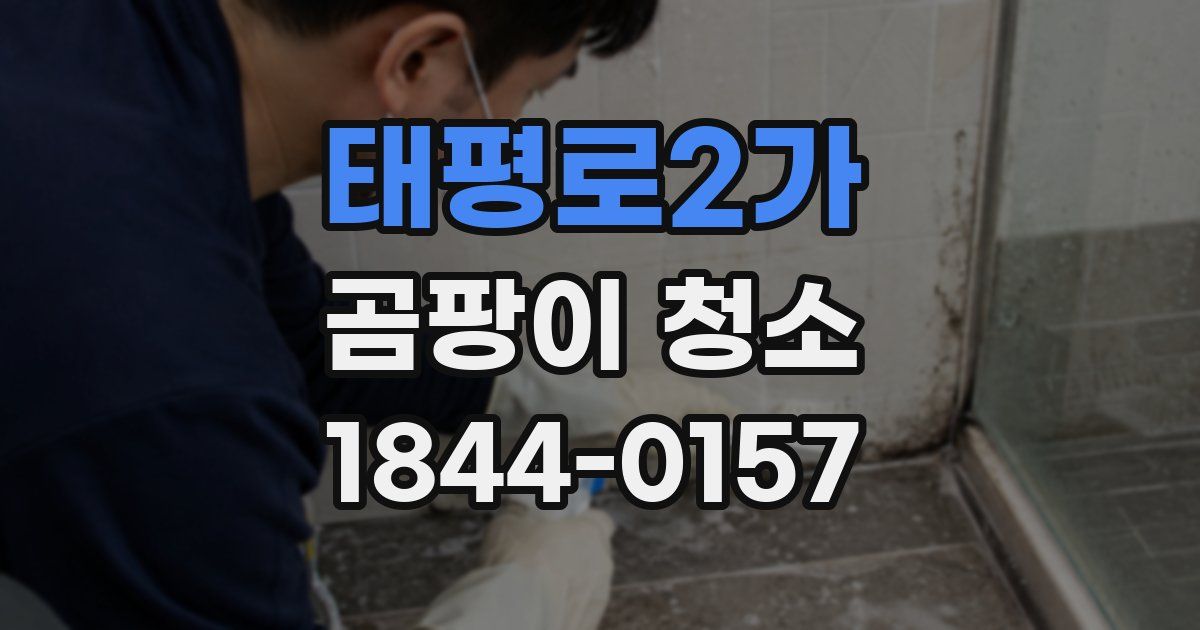 태평로2가 곰팡이 청소