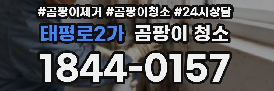 태평로2가 곰팡이 청소