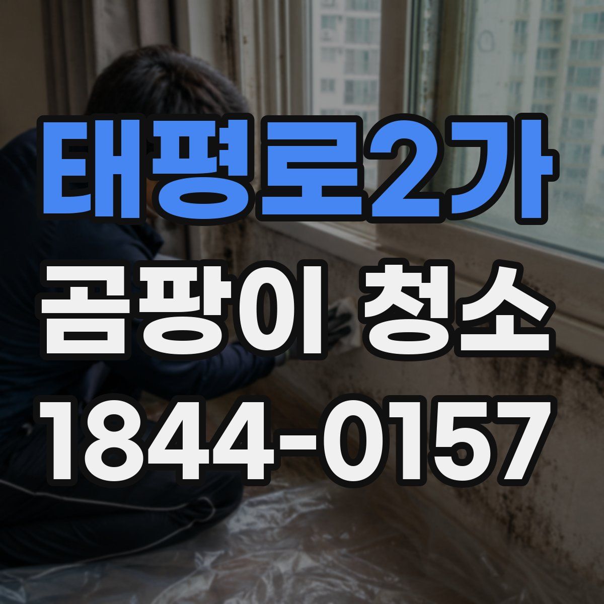 태평로2가 곰팡이 청소