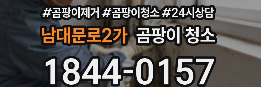 남대문로2가 곰팡이 청소