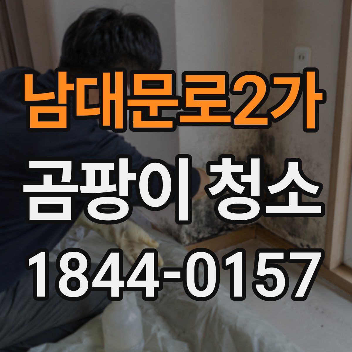 남대문로2가 곰팡이 청소