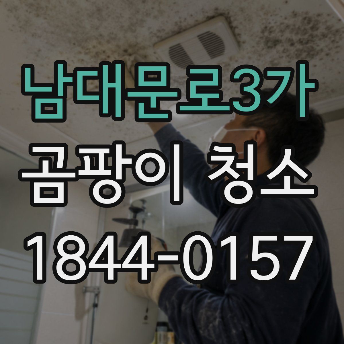 남대문로3가 곰팡이 청소