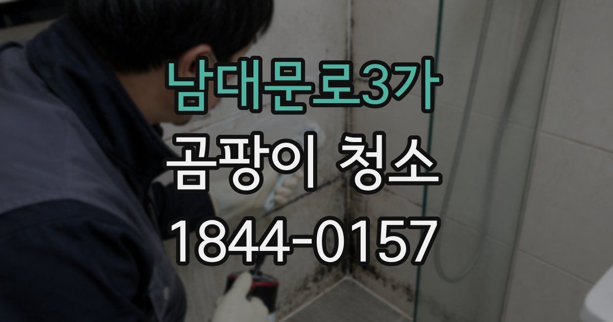 남대문로3가 곰팡이 청소