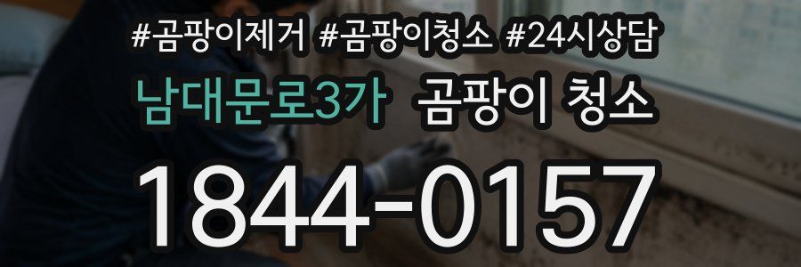 남대문로3가 곰팡이 청소