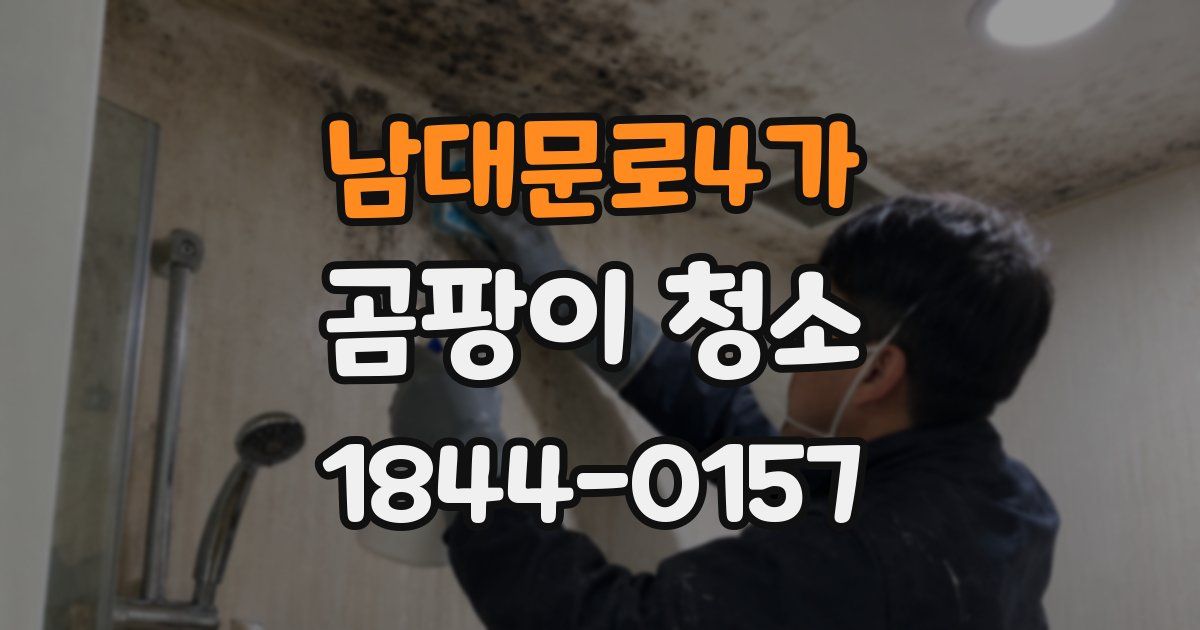 남대문로4가 곰팡이 청소