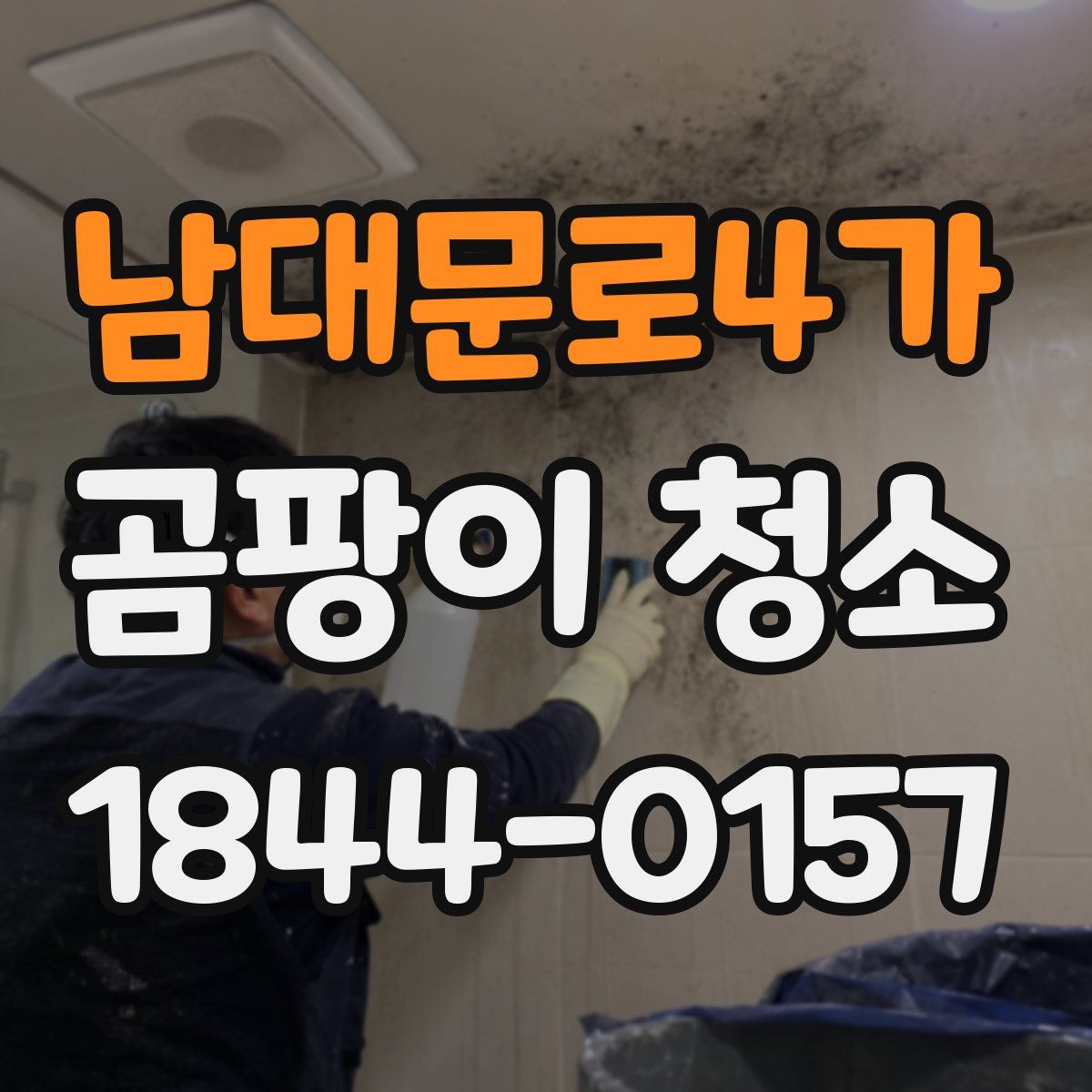 남대문로4가 곰팡이 청소