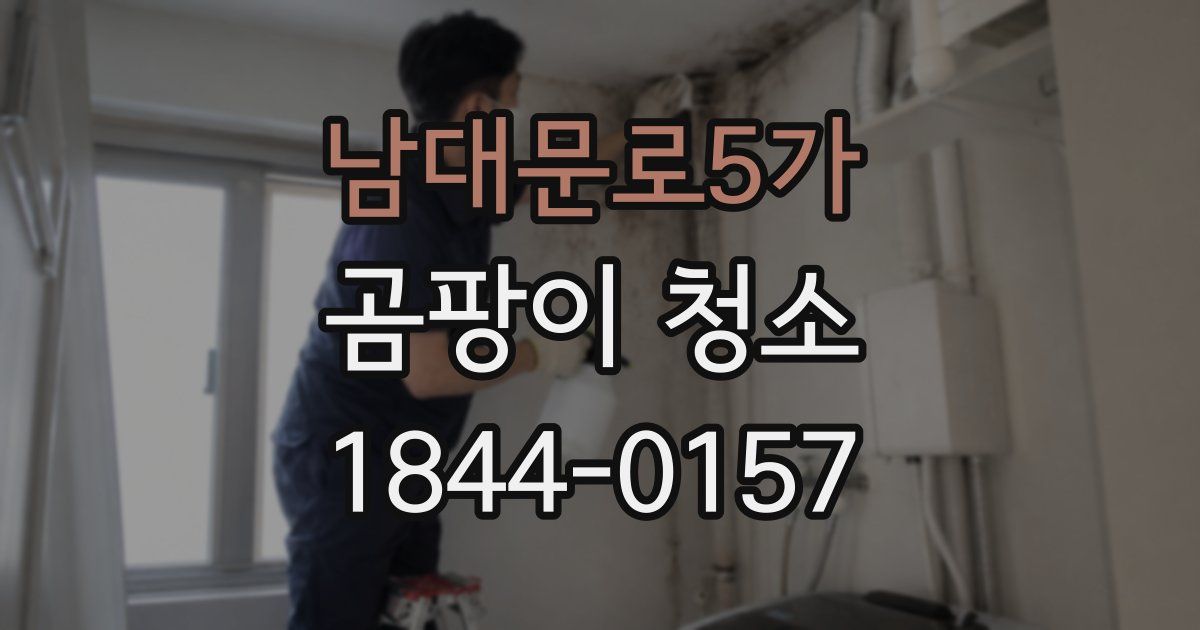 남대문로5가 곰팡이 청소