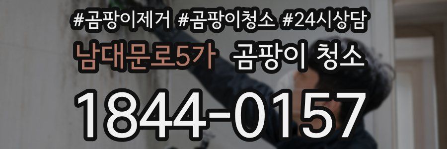 남대문로5가 곰팡이 청소