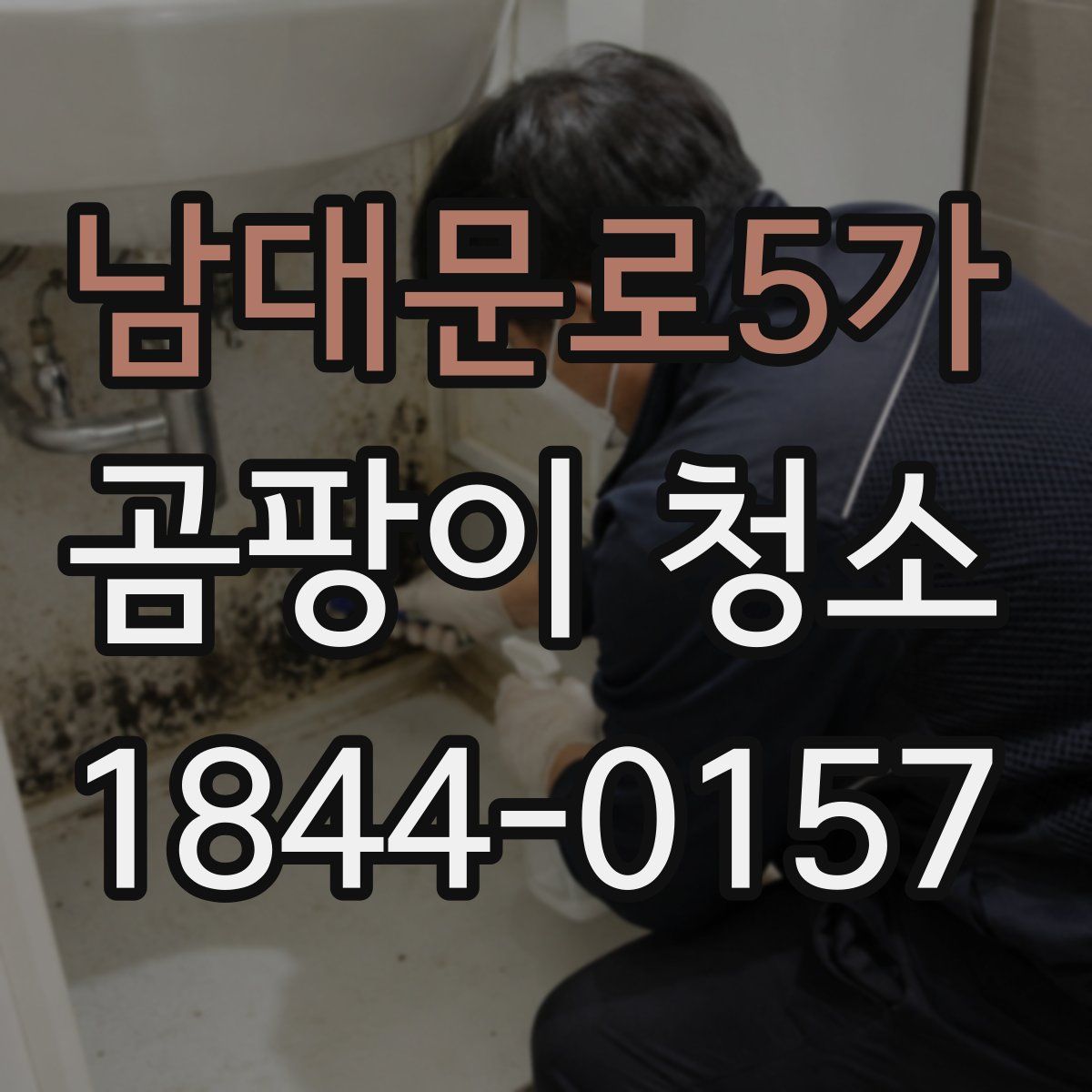 남대문로5가 곰팡이 청소