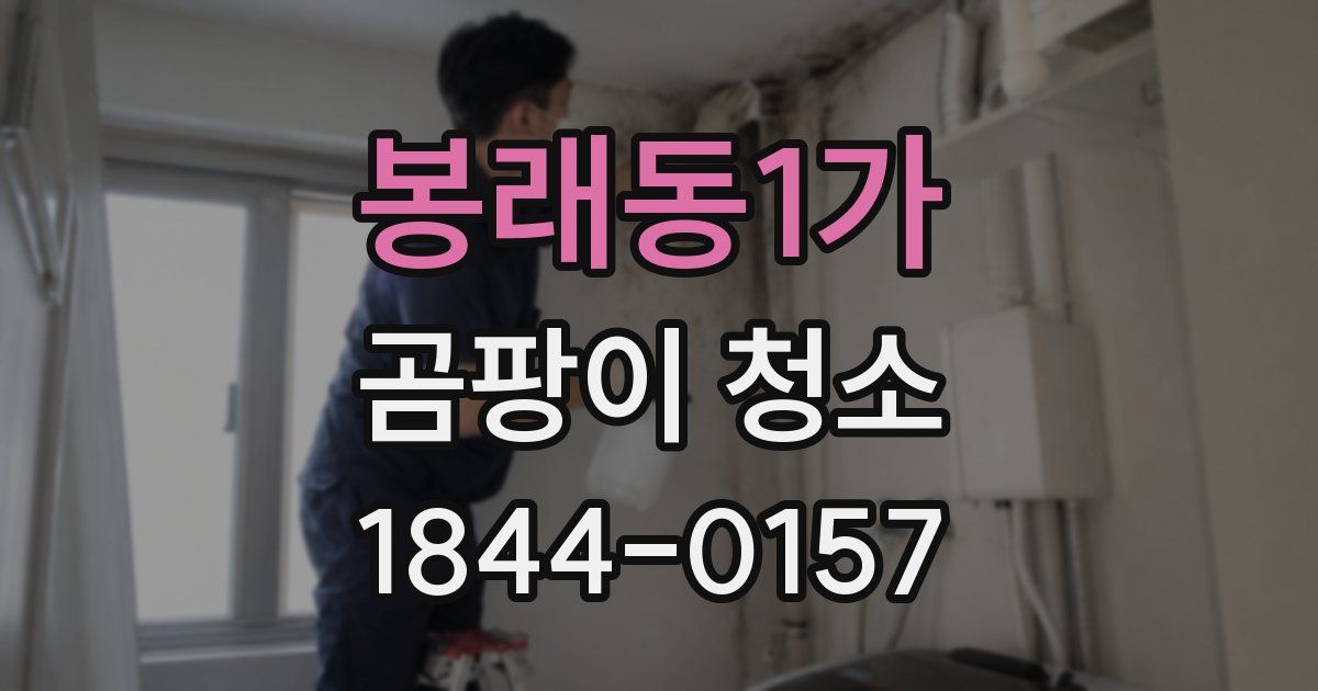 봉래동1가 곰팡이 청소