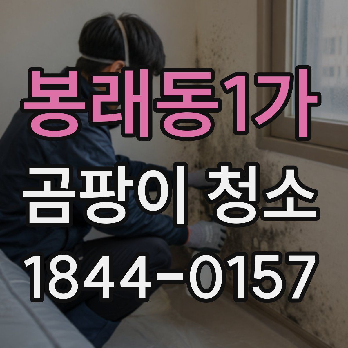 봉래동1가 곰팡이 청소