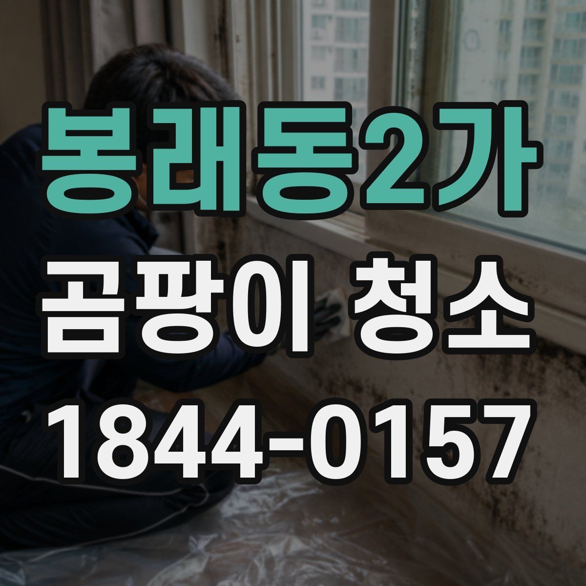 봉래동2가 곰팡이 청소 습도 관리로 재발을 줄이는 방법