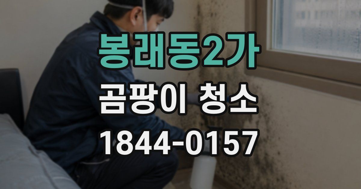 봉래동2가 곰팡이 청소