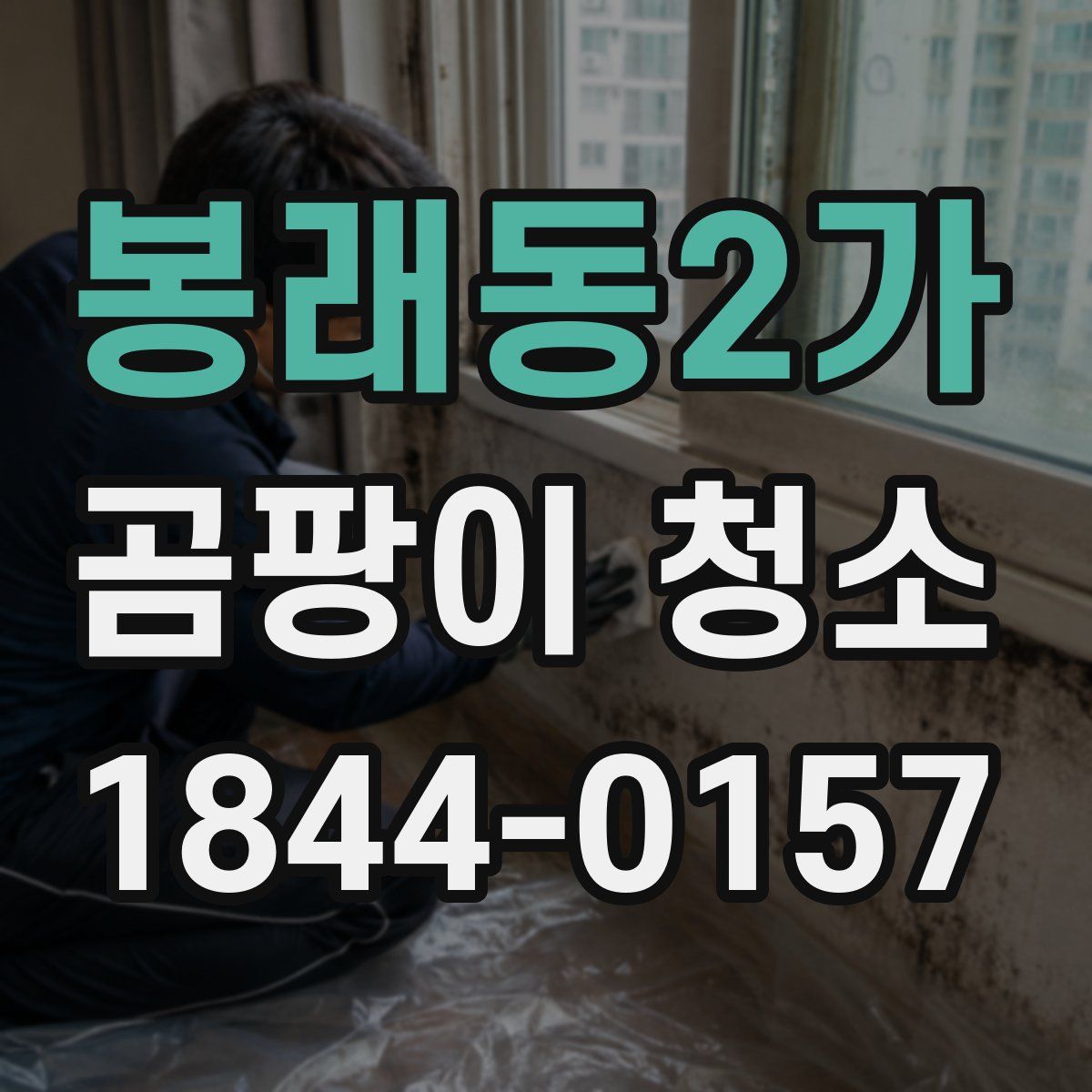 봉래동2가 곰팡이 청소